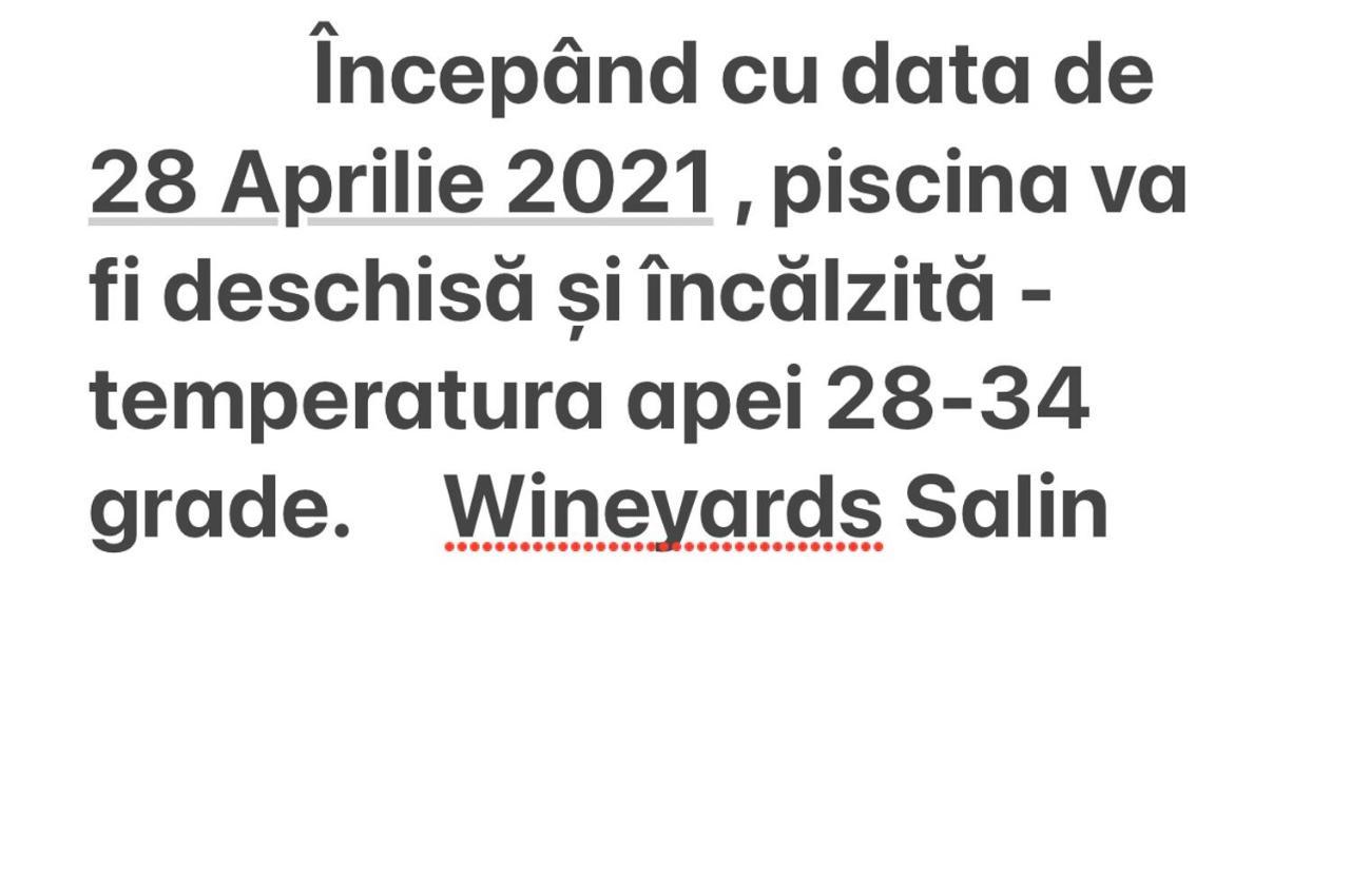 トゥルダ Wineyards Salin Bed & Breakfast エクステリア 写真