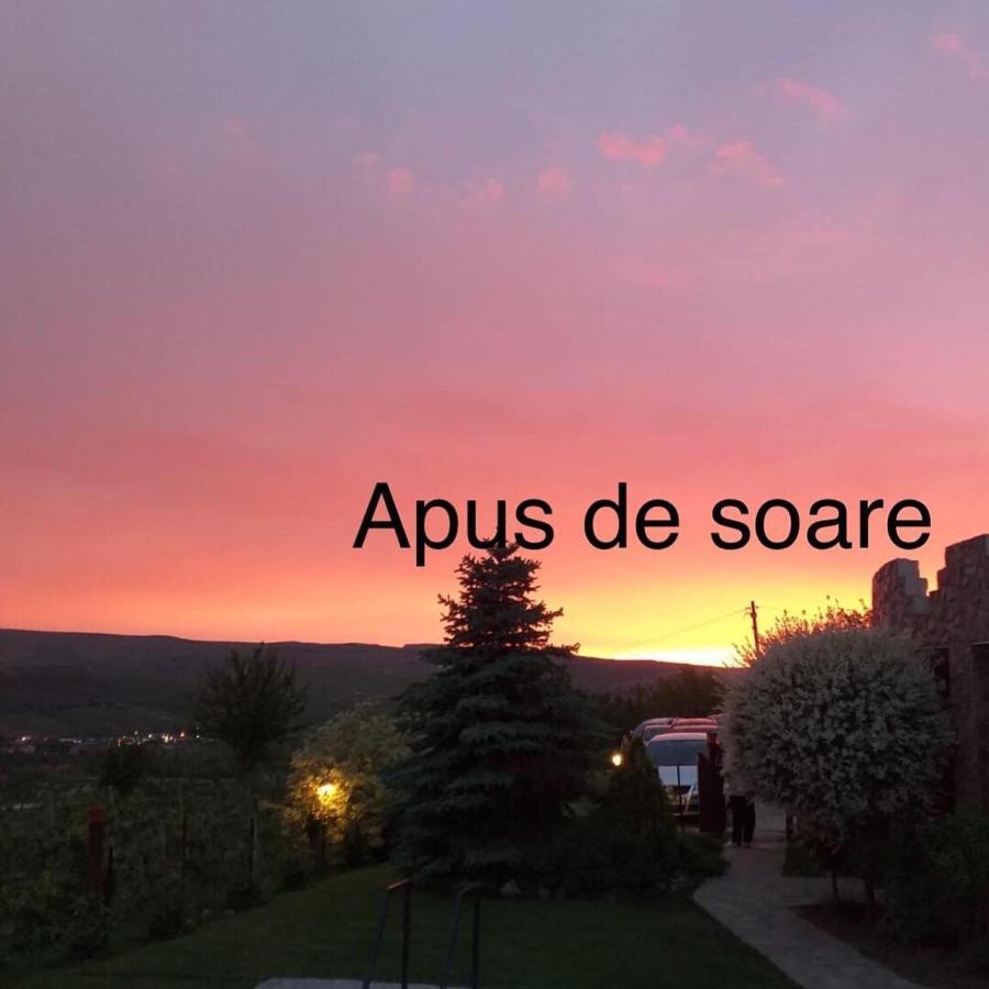 トゥルダ Wineyards Salin Bed & Breakfast エクステリア 写真