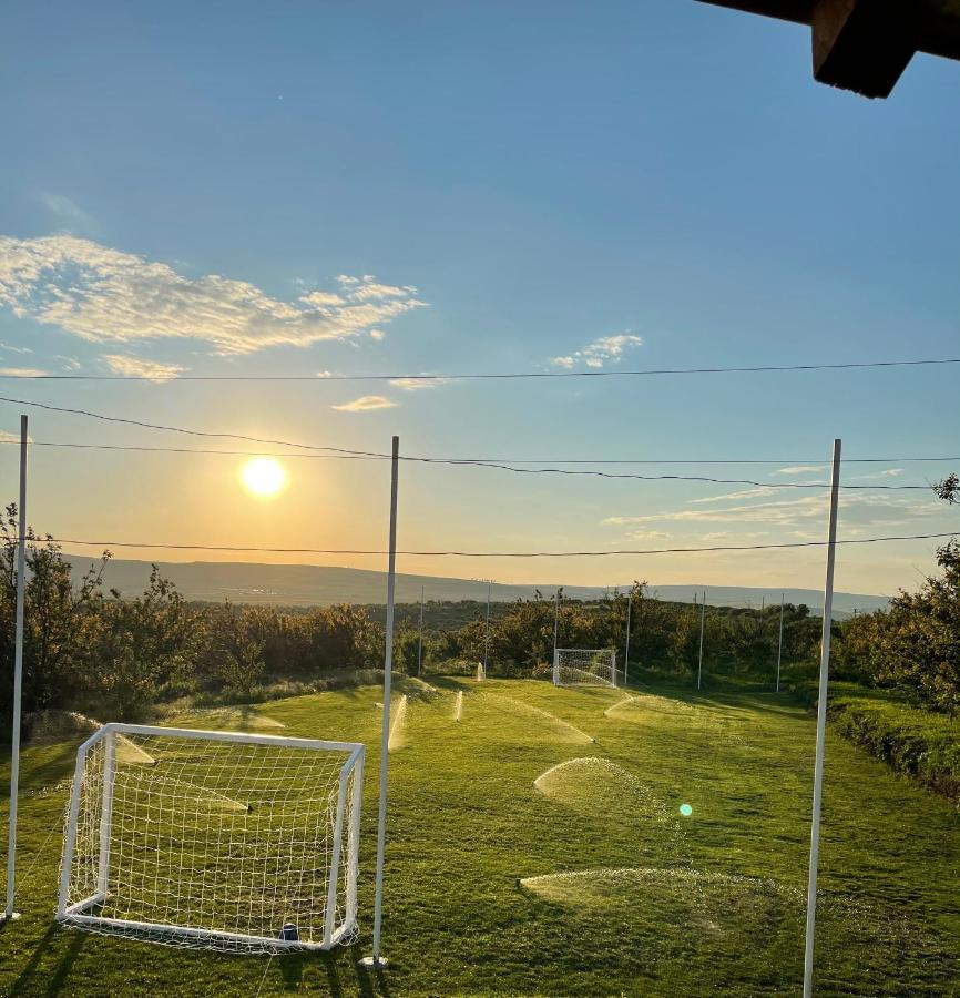 トゥルダ Wineyards Salin Bed & Breakfast エクステリア 写真