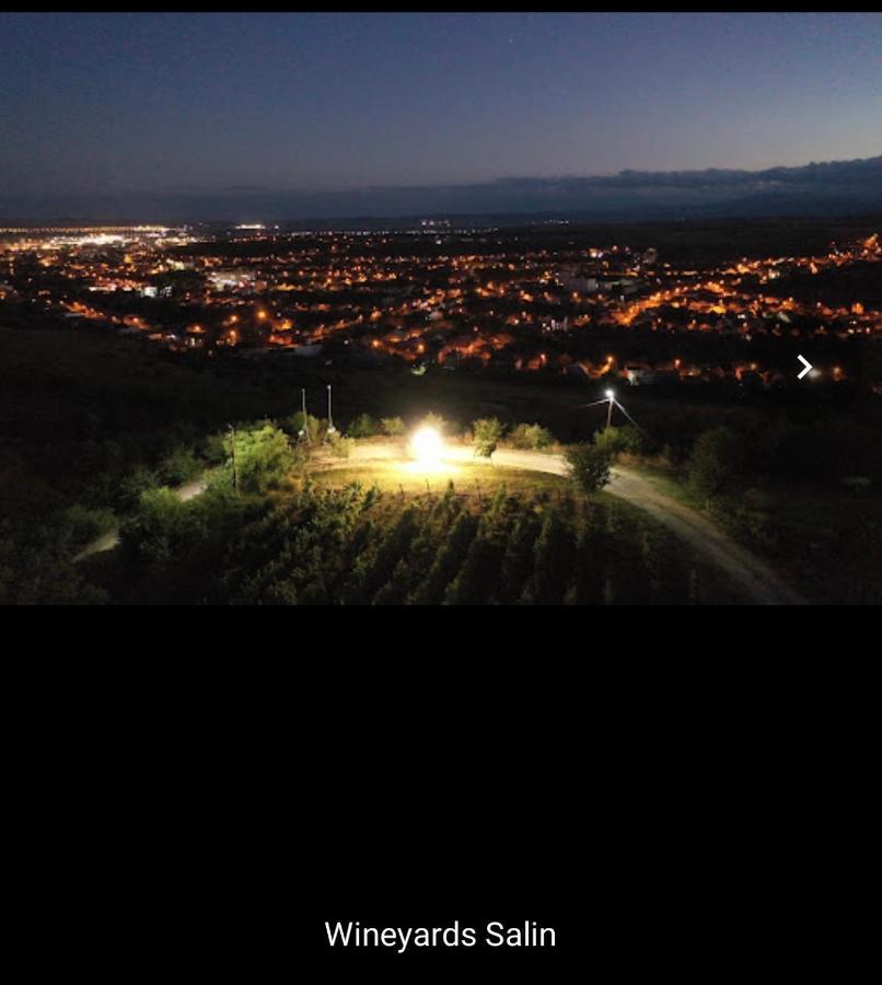 トゥルダ Wineyards Salin Bed & Breakfast エクステリア 写真