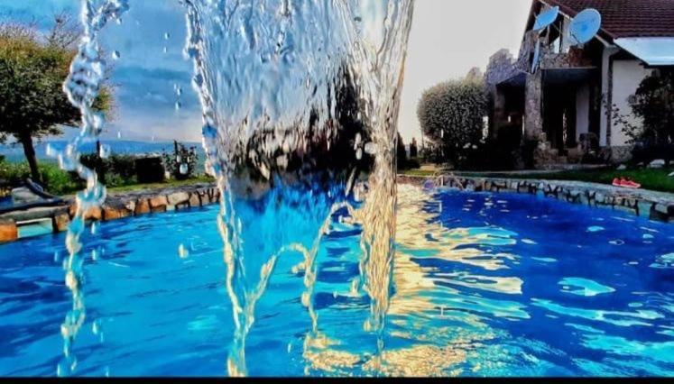 トゥルダ Wineyards Salin Bed & Breakfast エクステリア 写真