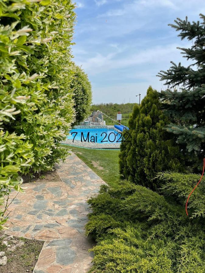トゥルダ Wineyards Salin Bed & Breakfast エクステリア 写真