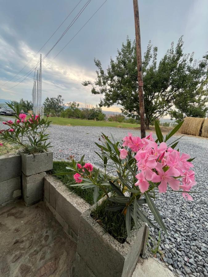 トゥルダ Wineyards Salin Bed & Breakfast エクステリア 写真