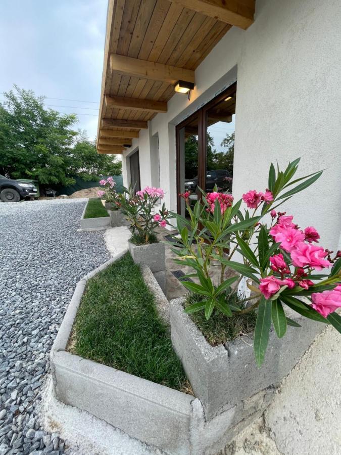 トゥルダ Wineyards Salin Bed & Breakfast エクステリア 写真
