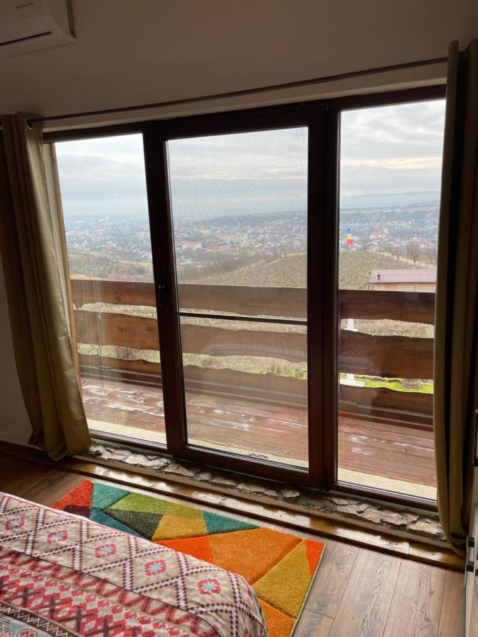 トゥルダ Wineyards Salin Bed & Breakfast エクステリア 写真