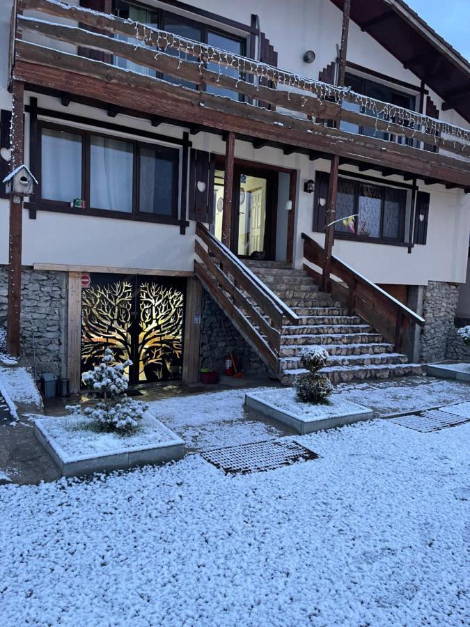トゥルダ Wineyards Salin Bed & Breakfast エクステリア 写真