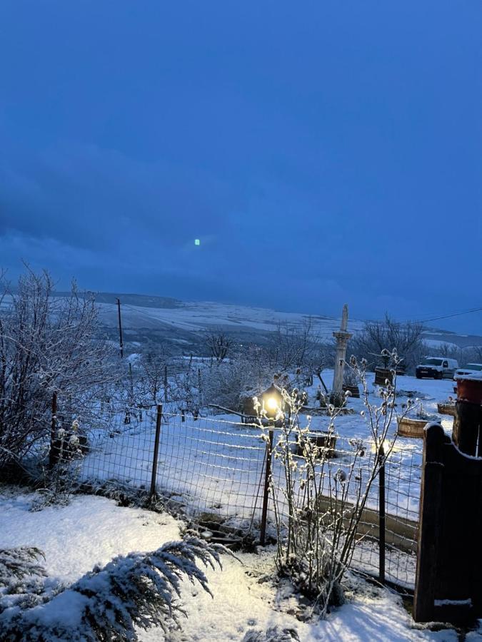 トゥルダ Wineyards Salin Bed & Breakfast エクステリア 写真