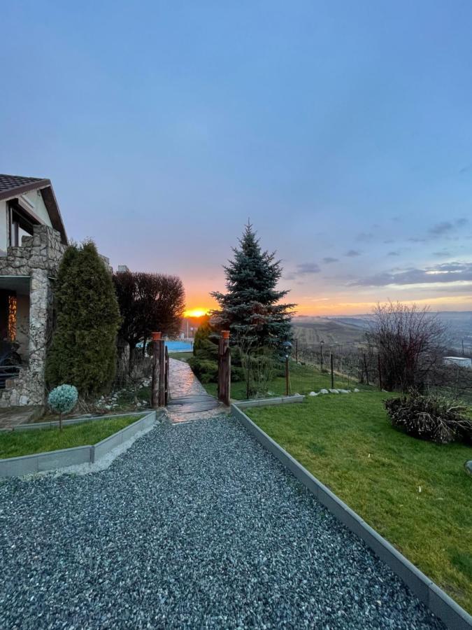 トゥルダ Wineyards Salin Bed & Breakfast エクステリア 写真