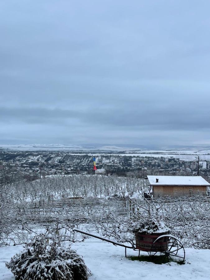 トゥルダ Wineyards Salin Bed & Breakfast エクステリア 写真