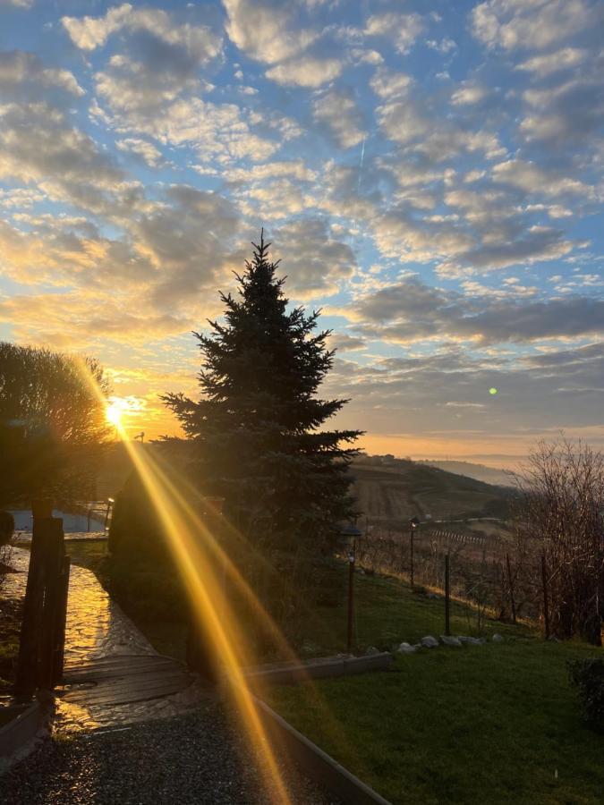 トゥルダ Wineyards Salin Bed & Breakfast エクステリア 写真