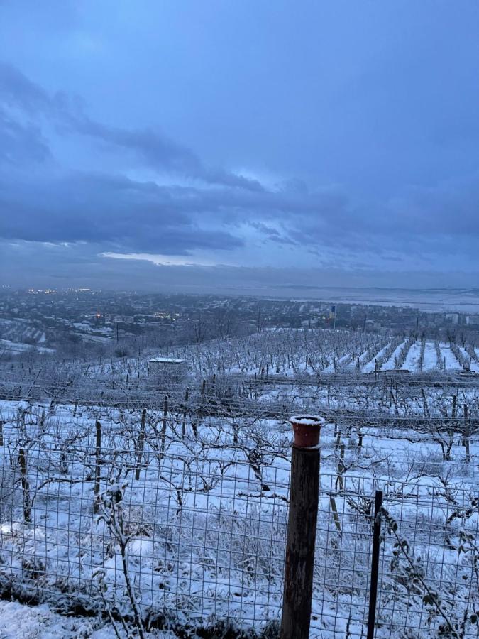 トゥルダ Wineyards Salin Bed & Breakfast エクステリア 写真