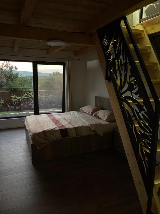 トゥルダ Wineyards Salin Bed & Breakfast エクステリア 写真