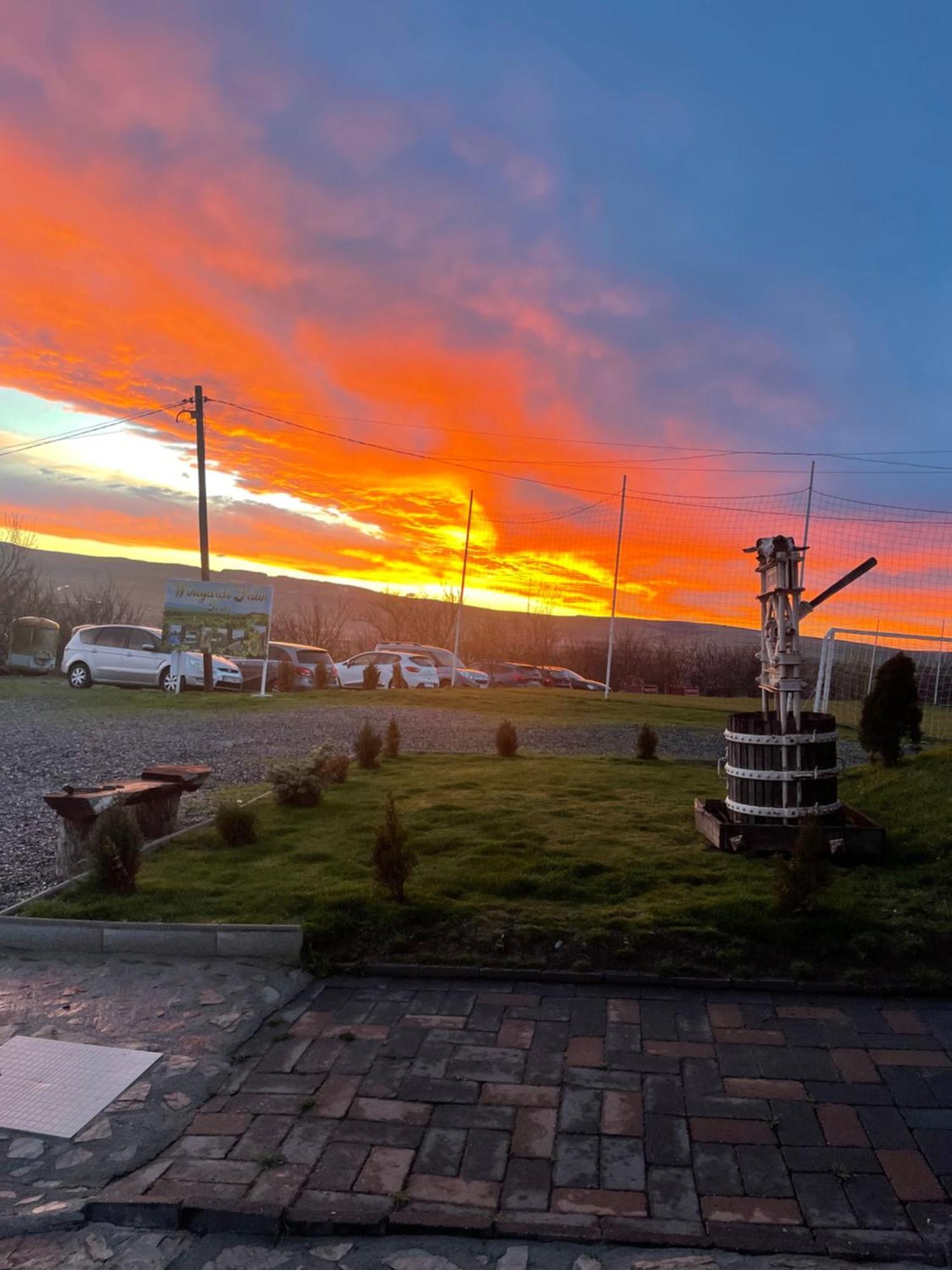 トゥルダ Wineyards Salin Bed & Breakfast エクステリア 写真
